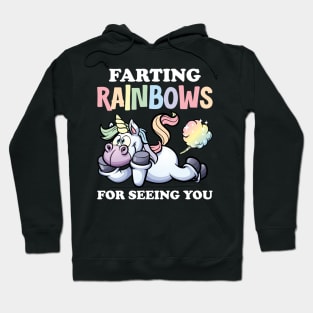 Farting Rainbows For Seeing You Hoodie